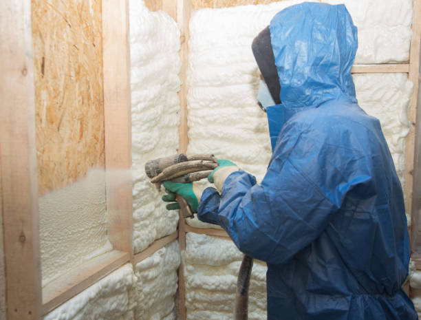 Eco-Friendly Insulation Solutions in Princeville, HI